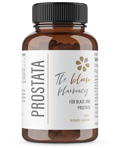 Prostata